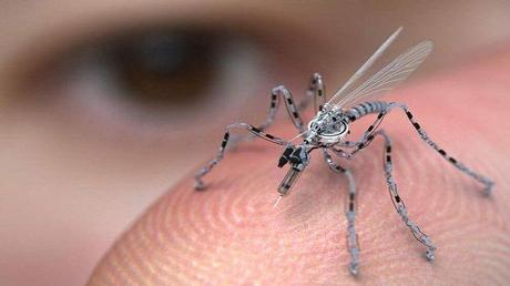 File photo shows an insect-sized spy drone. 