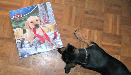 Adventskalender - Ich mach Dir eine (Vor-) Freude!