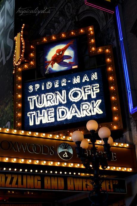 New York November 2012 Spider-Man Musical Broadway