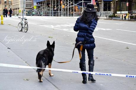 New York City November 2012 Straßenabsperrung Frau Hund