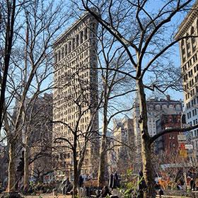 New York - das berühmte Flatiron Building mit Bäumen und blauem Himmel