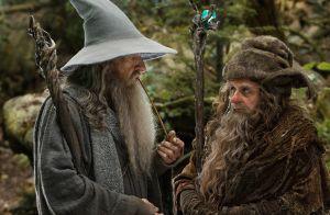 Ian McKellen als Zauberer Gandals (links) mit dem Waldzauberer Radagast (Sylvester McCoy, rechts)