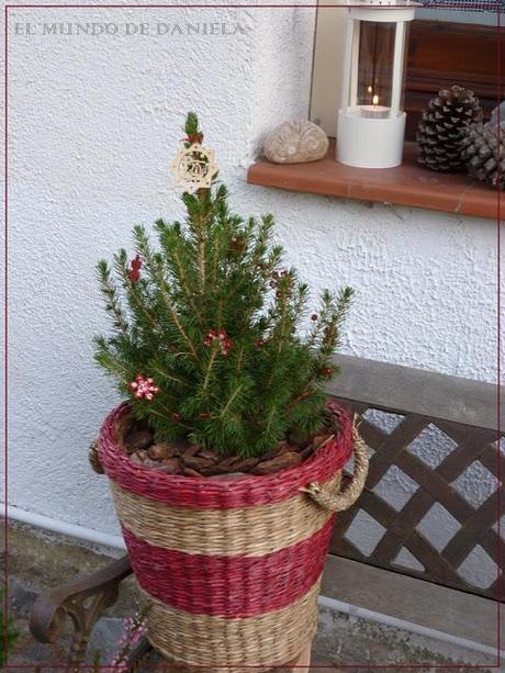 Weihnachtszeit auch im Garten / Tiempo Navideño tambien en el jardin