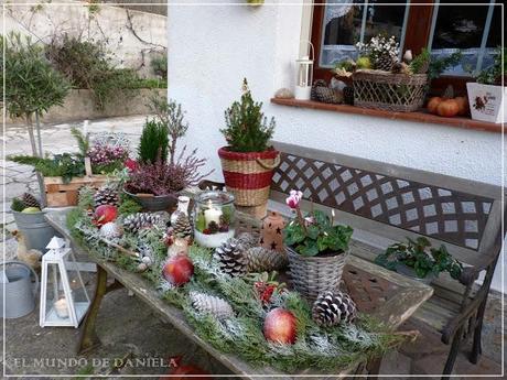 Weihnachtszeit auch im Garten / Tiempo Navideño tambien en el jardin