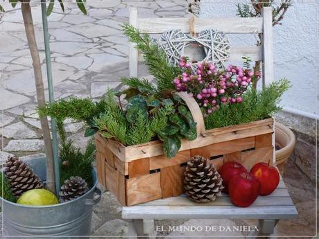 Weihnachtszeit auch im Garten / Tiempo Navideño tambien en el jardin