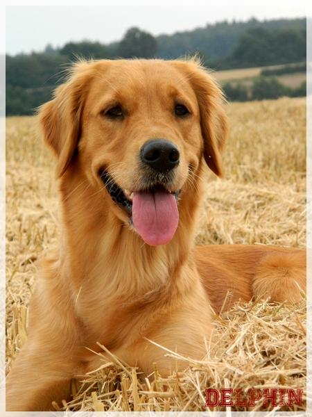 Das war unser Jahr 2012 (2) Das war unser Jahr 2012 (2)