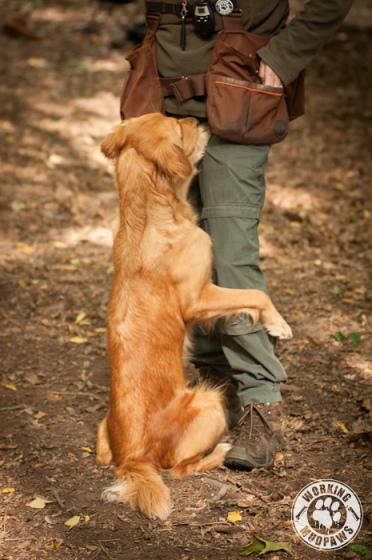 Das war unser Jahr 2012 (2) Das war unser Jahr 2012 (2)