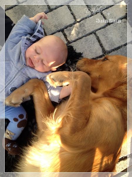 Das war unser Jahr 2012 (2) Das war unser Jahr 2012 (2)