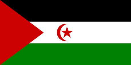 Marokkanische Armee greift Sahauris und Europaabgeordnete an
