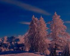 wallpaper-1689754
