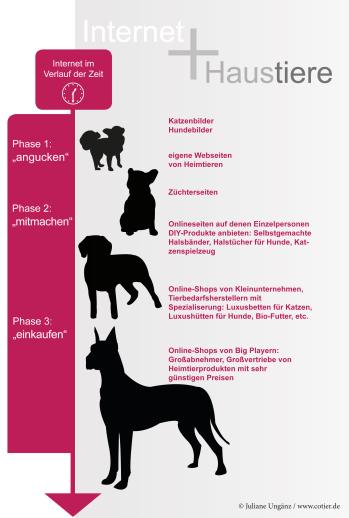 Infographik Haustiere Internet