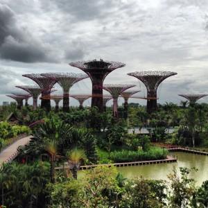 Famous Supertrees (up to 50m tall) at Gardens by the Bay in Singapore