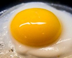 Eiweißhaltige Ernährung nicht nur mit Eiern