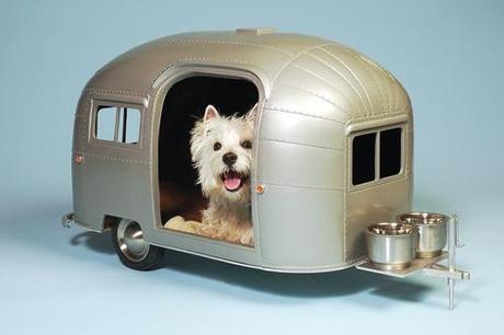 Wenn ein Hund auf Reisen geht- erster Campingwagen für Hunde