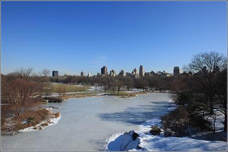 New York City - frozen lakes at Central Park with South Entrance
