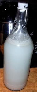 Rohkost-Milch selbst gemacht