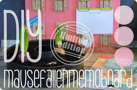 DIY Mausefallenmemoboard DIY Mausefallenmemoboard
