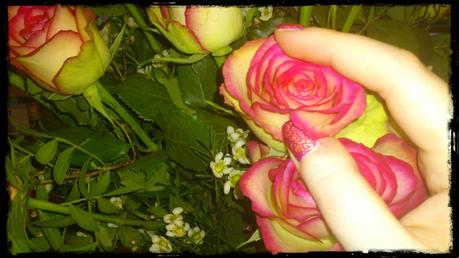 Wunderschöne Rosen... :)