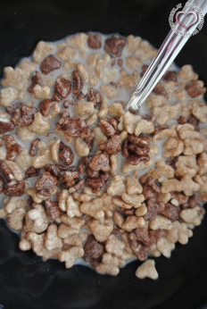 Nestle Cerealien Test