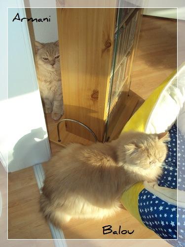 “Ich will keine Tablette!” DSC06337_Rahmen