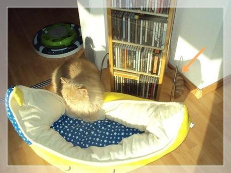 “Ich will keine Tablette!” DSC06336_Rahmen