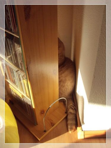 “Ich will keine Tablette!” DSC06334_Rahmen