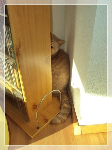 “Ich will keine Tablette!” DSC06335_Rahmen