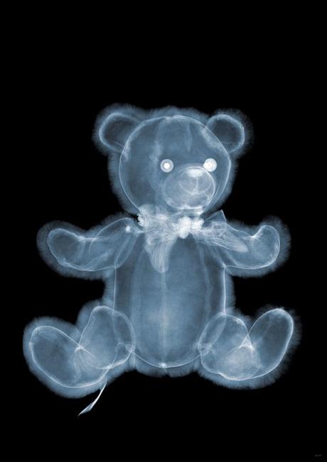 X Ray: Röntgenfotografie von Nick Veasey