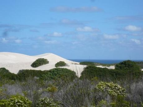 Reisebericht Südafrika: de Hoop Nature Reserve – einer der schönsten Orte der Welt, ich schwör!