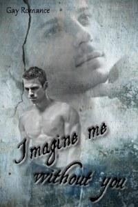 imagine-me-without-you