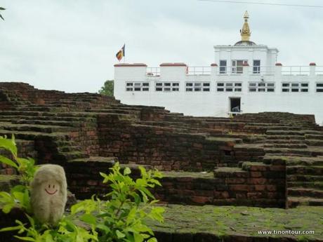  Klosterbruder Tino Nahe der Geburtsstätte von Buddha gesichtet