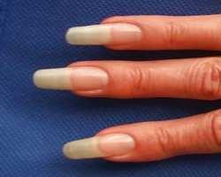 Bild von langen Fingernägeln einer Frau