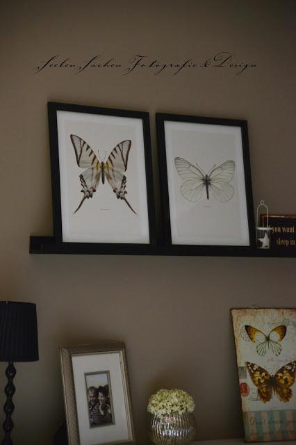 Besser zwei Schmetterlinge an der Wand, ...