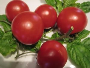 Tomate – Lebensmittel mit Heilkraft