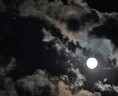 wallpaper-1689754