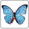 Orkut Kommentare - Butterflies