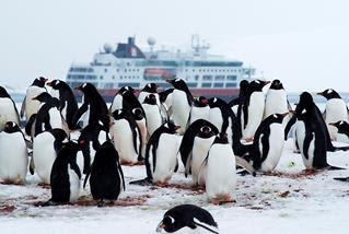 Per Kajak antarktische Gewässer erkunden - Hurtigruten Expeditions-Seereisen mit neuen Ausflügen in der Antarktis