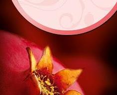 wallpaper-1689754