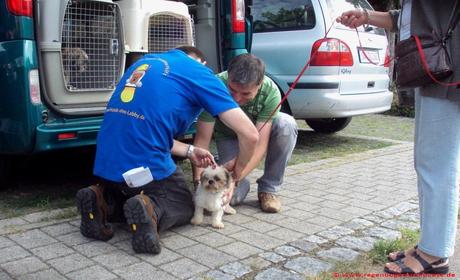 einen Hund aus Spanien adoptieren, Tierschutz, Hund aus spanischem Tierheim adoptieren, Tierschutz Spanien
