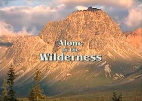 Alone in the wilderness Screenshot2