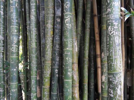 Liebesschwüre auf Bambus :-)