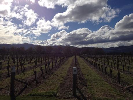 Weinverkostung in der Marlborough Region
