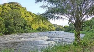 Fluss in Nilo Peçanha