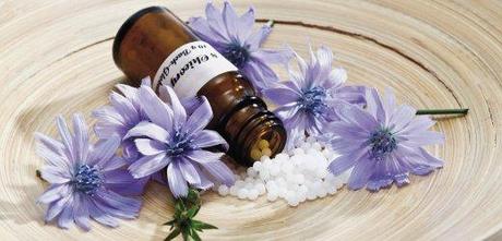 Bottle with Bach Flower Stock Remedy, Chicory (Cichorium intybus) on wooden plate