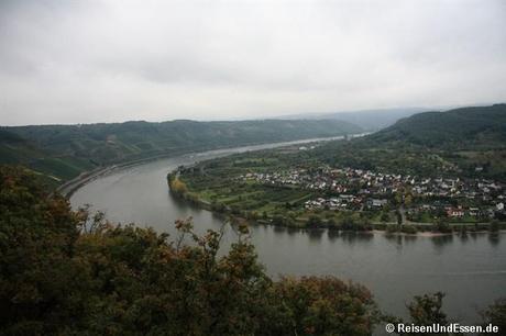 Blick von der Sesselbahn auf die Rheinschleife bei Boppard
