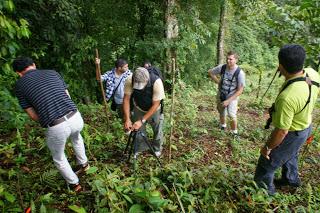 Ein kleiner Wald in Costa Rica fürs Forum Anders Reisen
