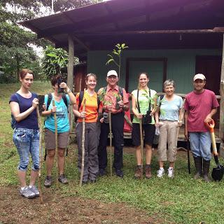 Ein kleiner Wald in Costa Rica fürs Forum Anders Reisen