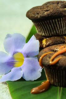 Abenteuer Costa Rica / Schoko- Banane- Dulce de Leche Muffins für alle