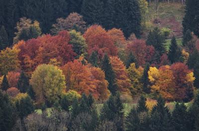 Goldener Oktober 2013: Impressionen einer Herbstwanderng von Halblech-Berghof nach Schwangau-Brunnen