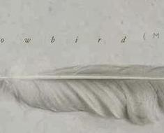 wallpaper-1689754